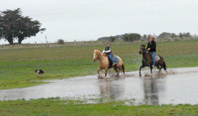 Hepburn Lagoon Trail Rides 1 - Creswick Victoria 3363