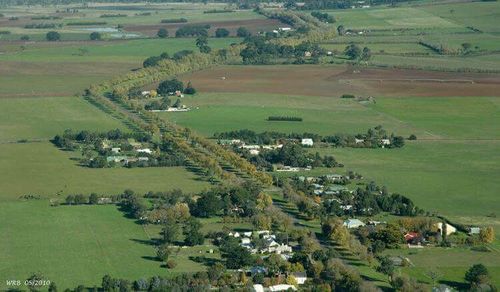 Avenue of Honour 2 - Business + Tourism Creswick